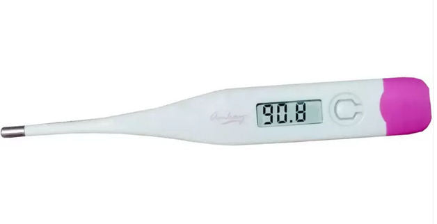 Amkay Digital Thermometer