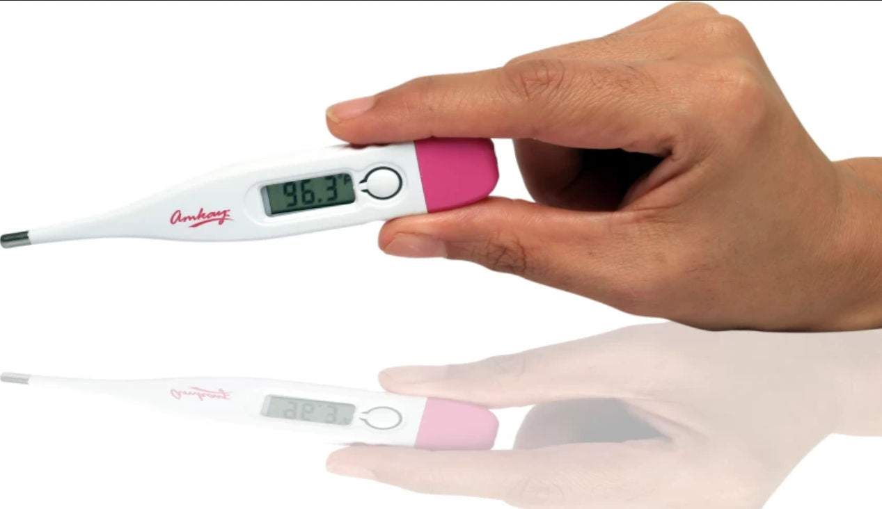 Amkay Digital Thermometer