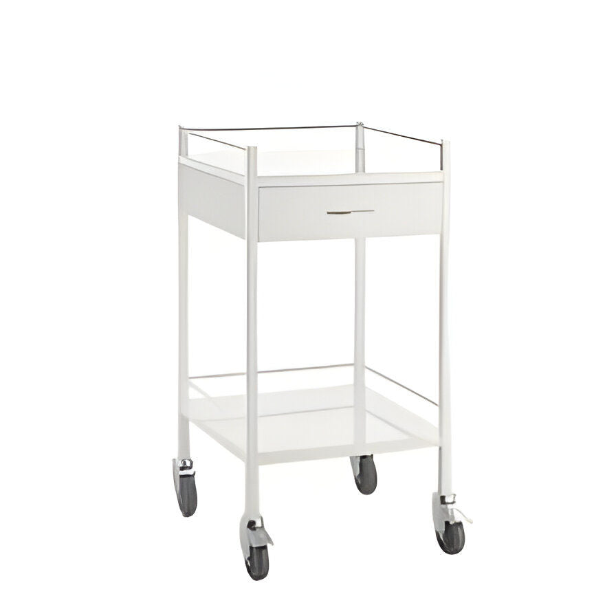 Shriyan Instrument Trolley Powder Coated 6060